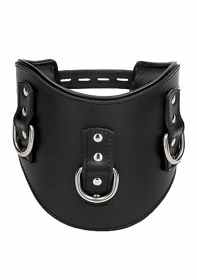 Heavy Duty Padded Posture Collar - Black- Pain by Shots - ( pai004blk)